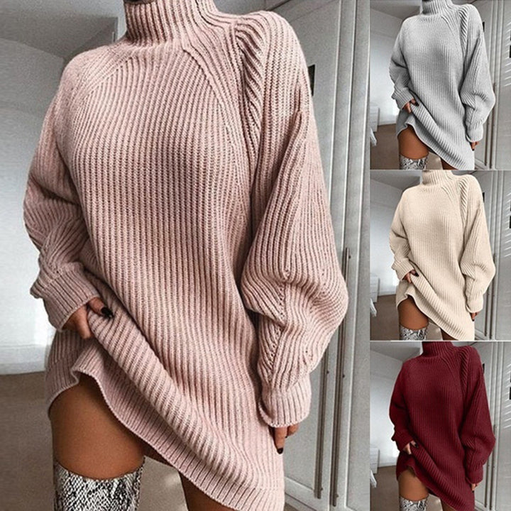 Warm Polo Neck Jumper Dress, Long Solid Colour Winter Knit